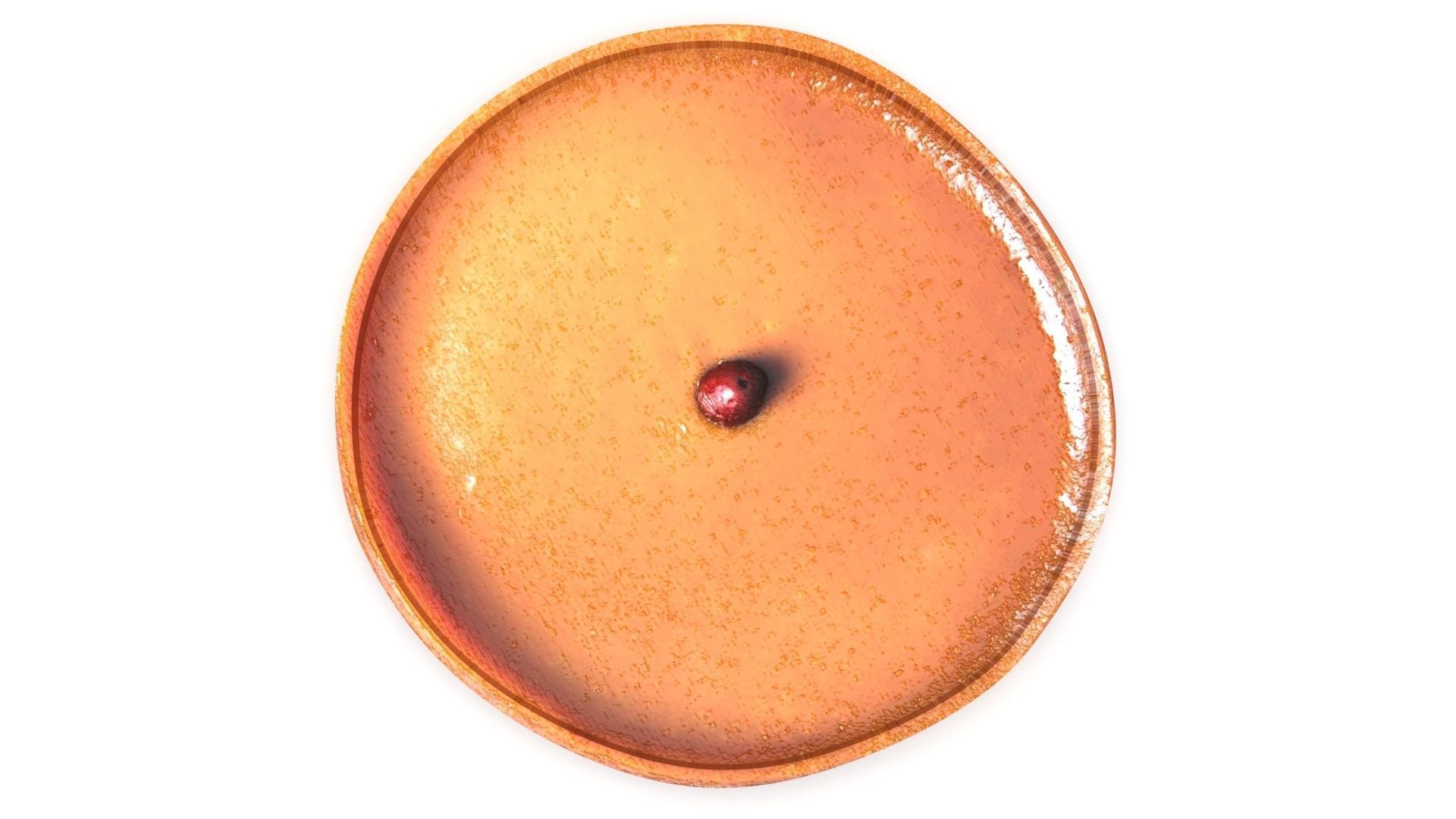 Chinese New Year Cake 3D model_3