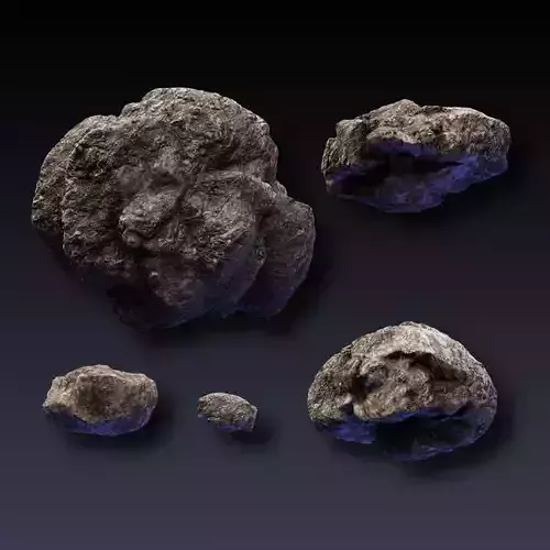 Rock Collection 1 meteorite 3D model