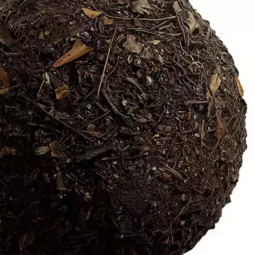 Debris Seamless Texture 2K - EXR 5 - JPG 5 Texture