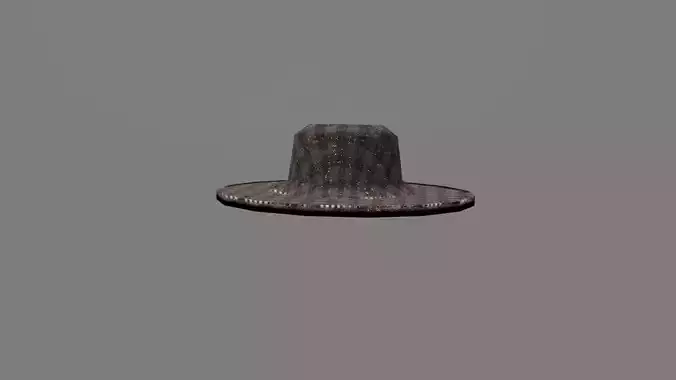 Detective hat