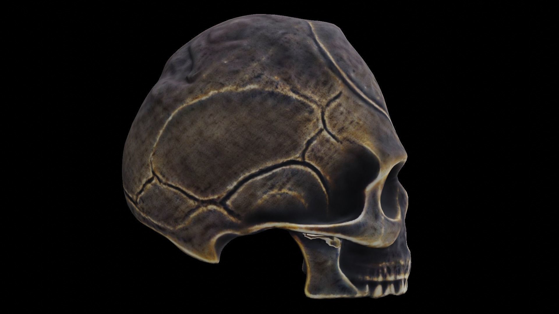 Ancient Ritual Skull Middle poly 3D model_12