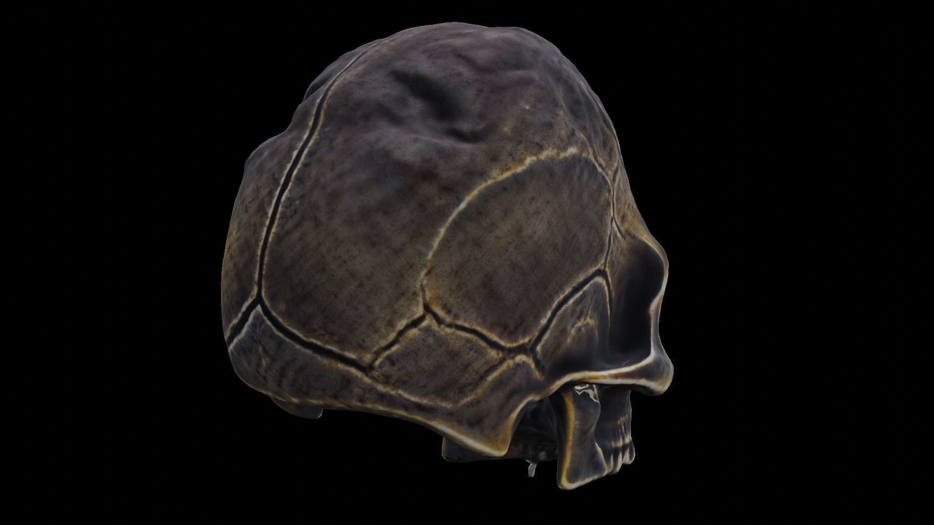 Ancient Ritual Skull Middle poly 3D model_11