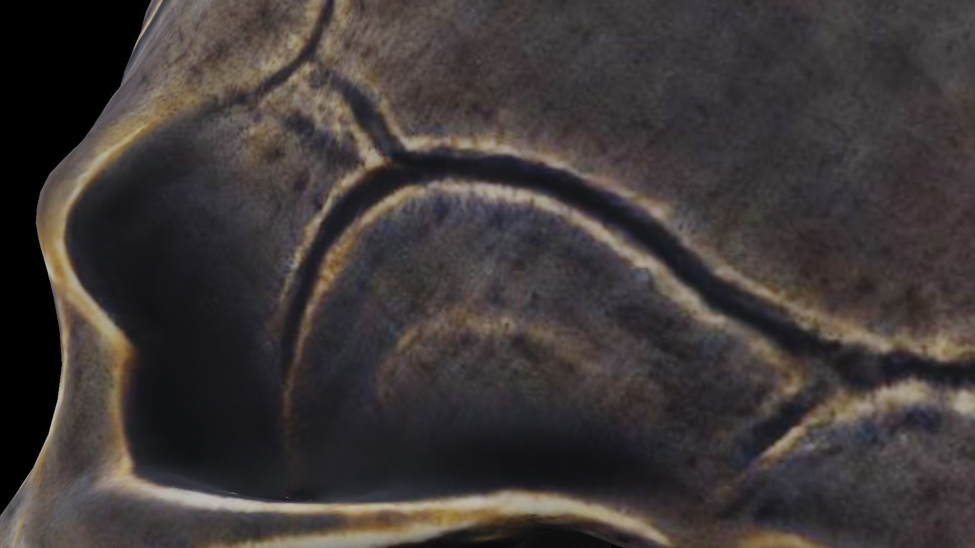 Ancient Ritual Skull Middle poly 3D model_4