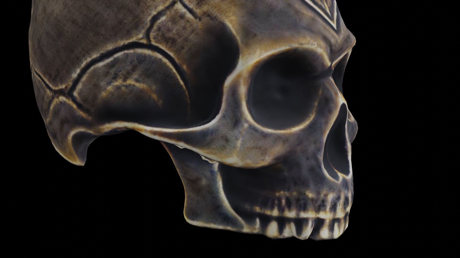 Ancient Ritual Skull Middle poly 3D model_13