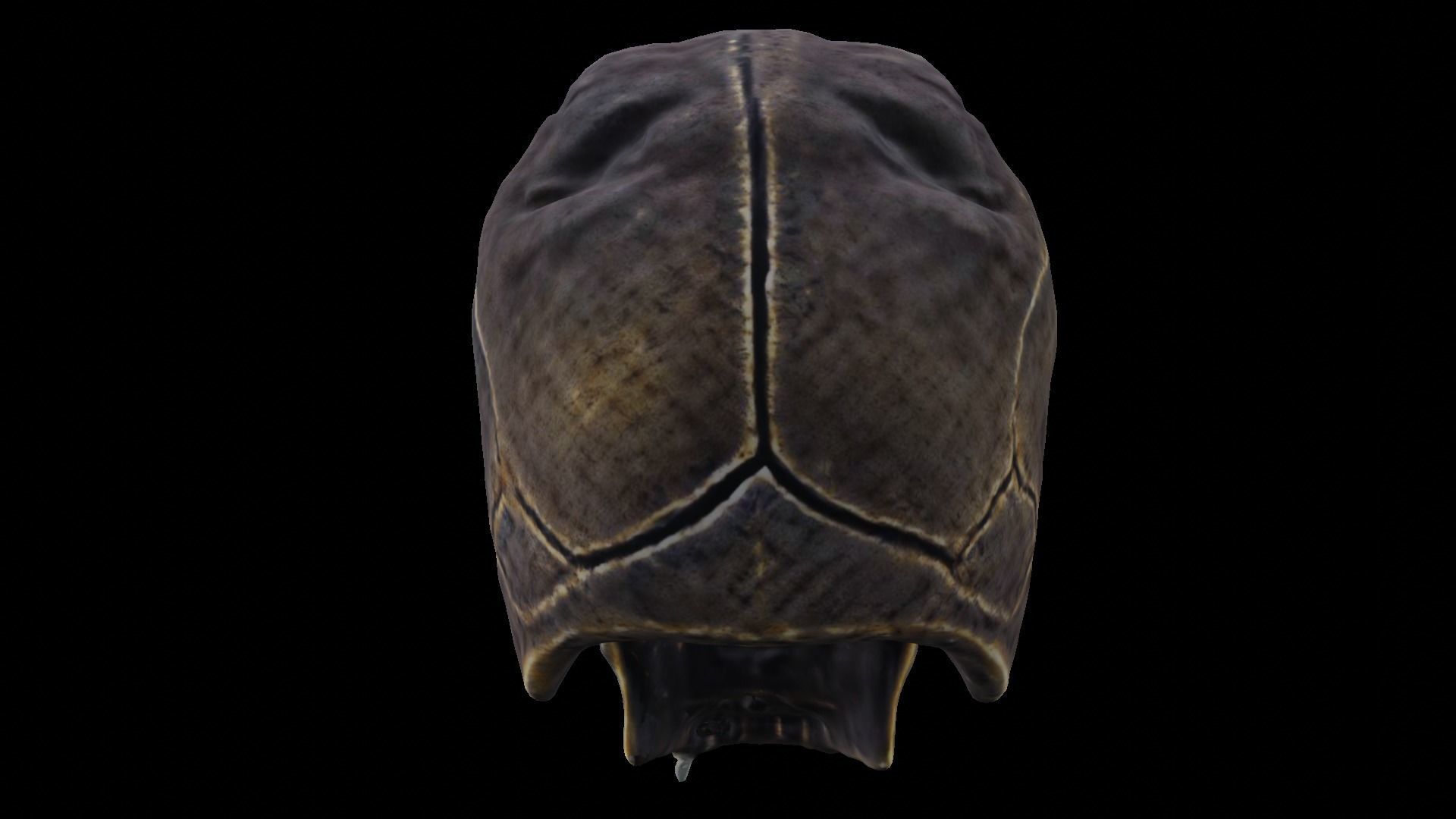 Ancient Ritual Skull Middle poly 3D model_10