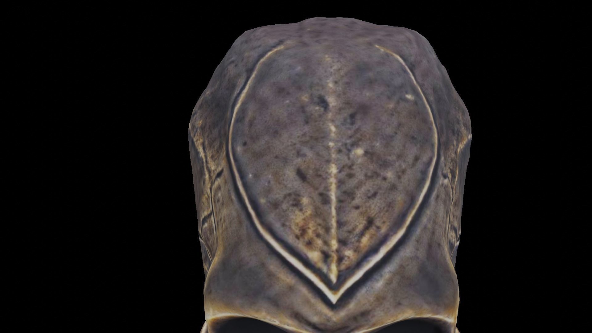 Ancient Ritual Skull Middle poly 3D model_2