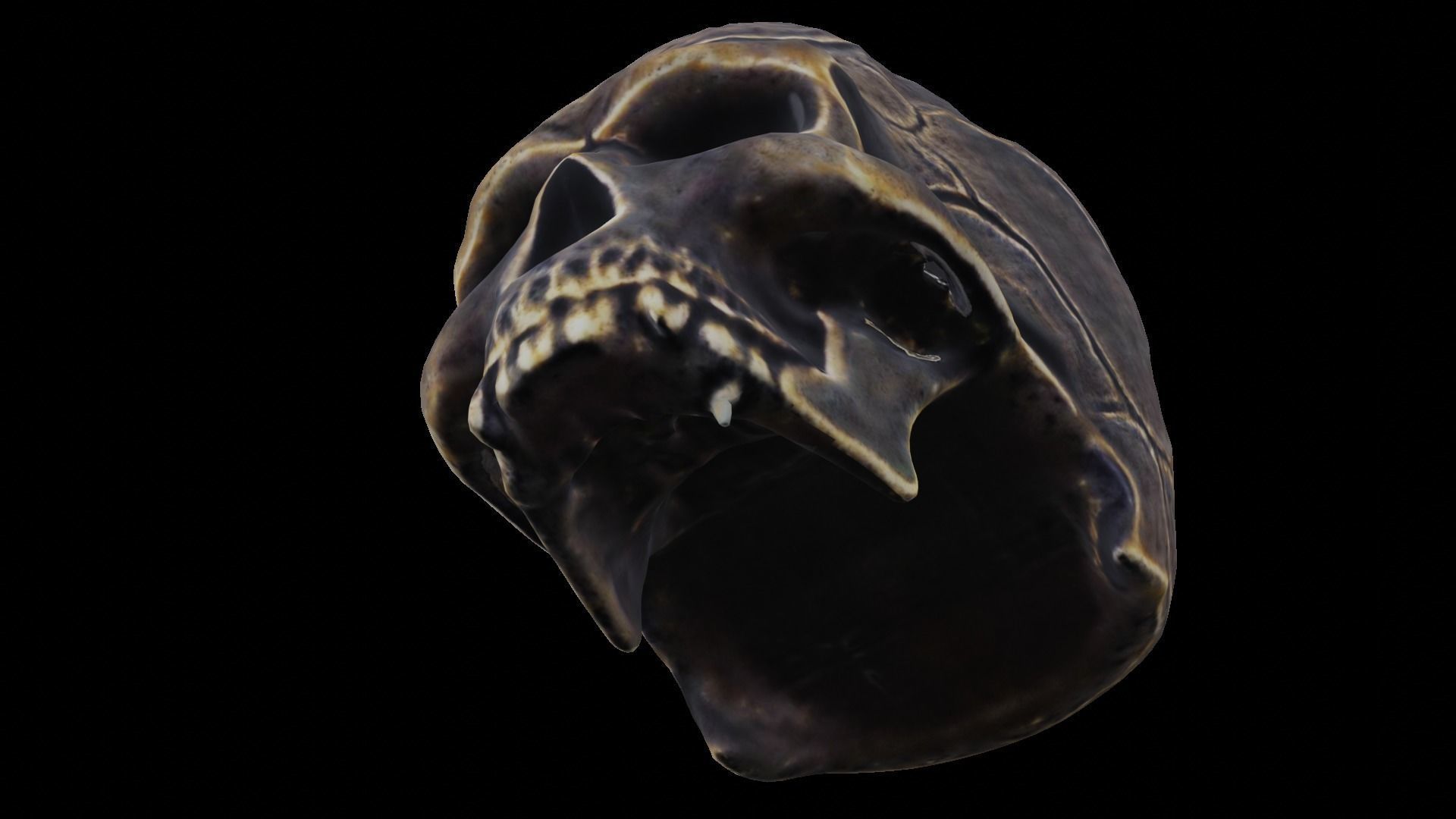 Ancient Ritual Skull Middle poly 3D model_3