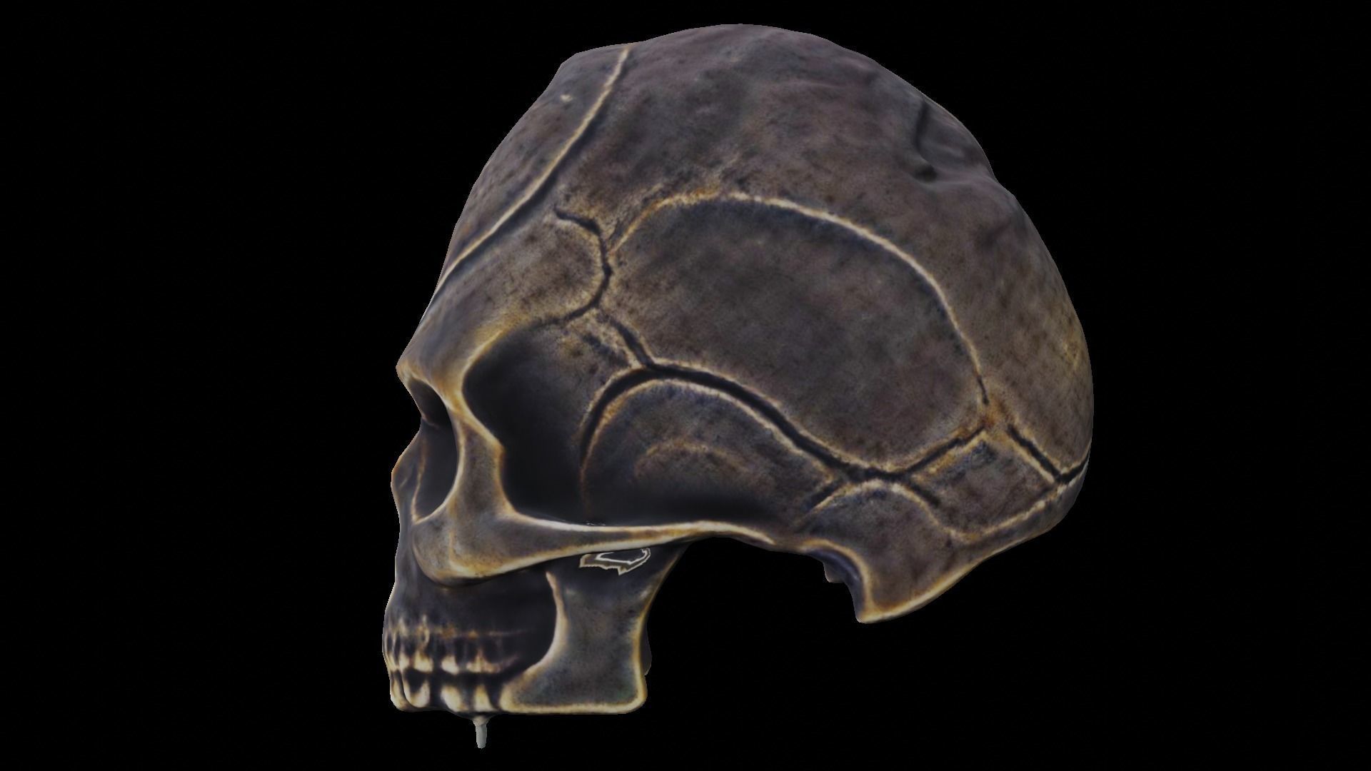 Ancient Ritual Skull Middle poly 3D model_9