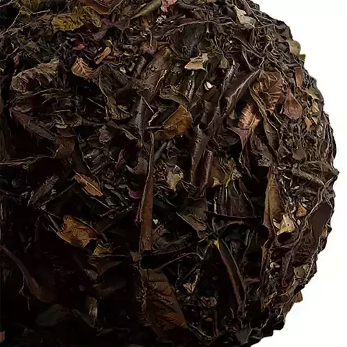 Debris Seamless Texture 2K - EXR 5 - JPG 5 Texture