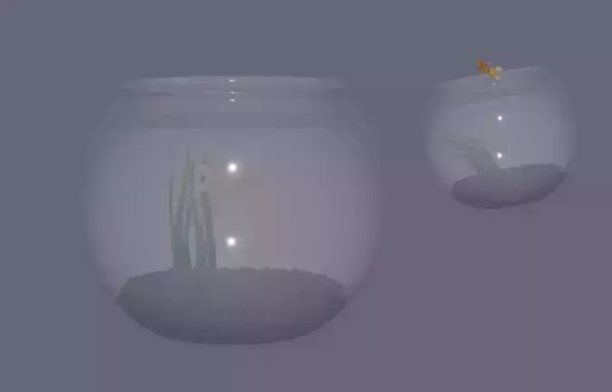 Round Aquarium with GoldFish