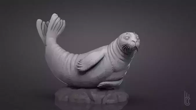 Seal friendly  3D print model