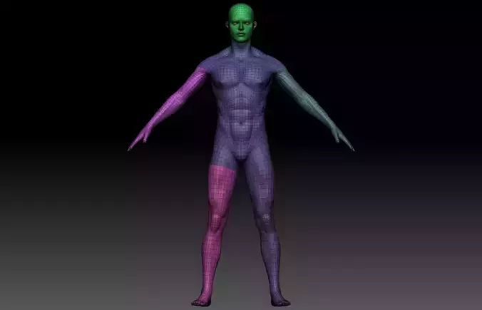 Base mesh male model