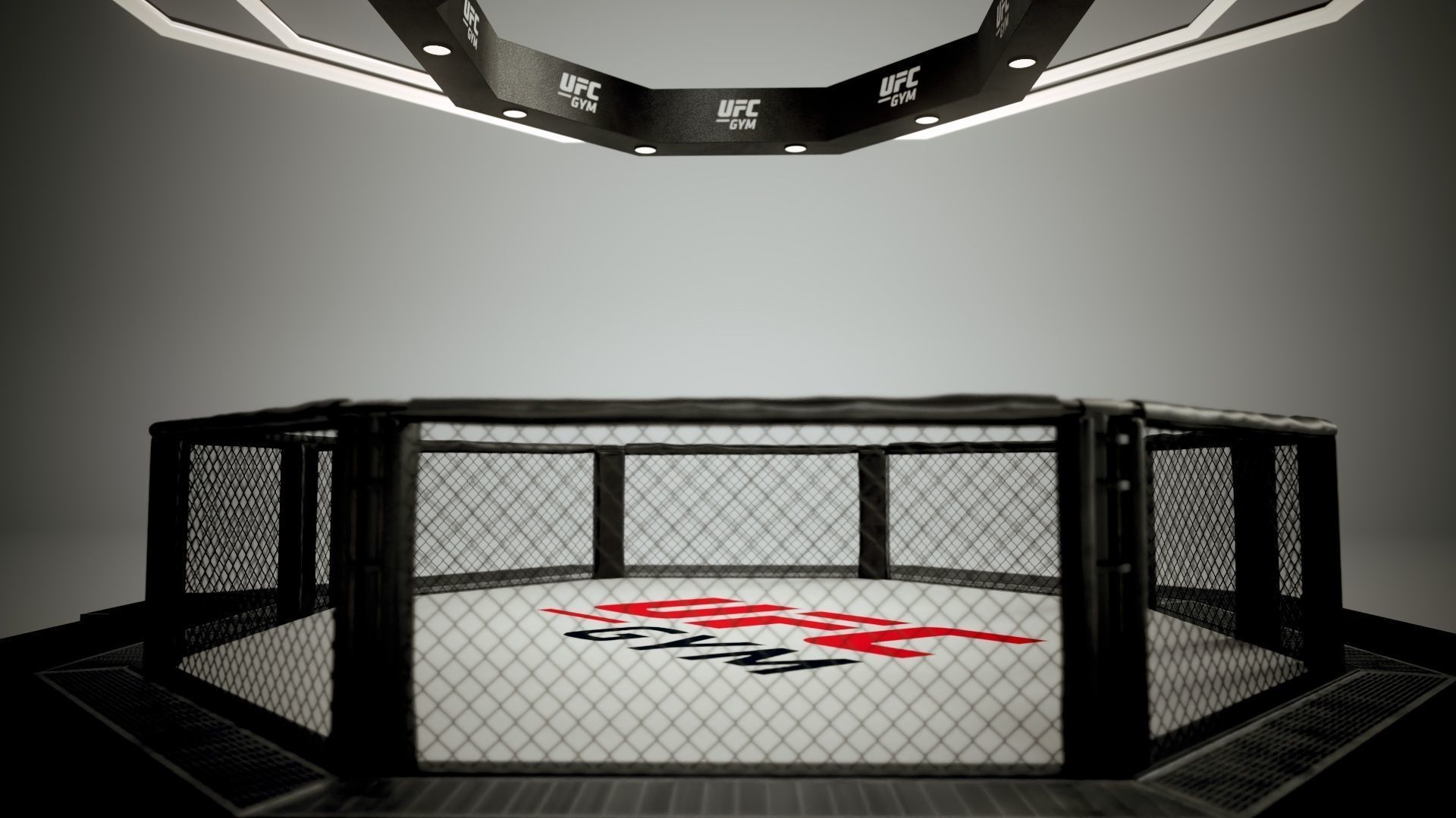 UFC MMA Ring Octogone 3D Model 3D model_5