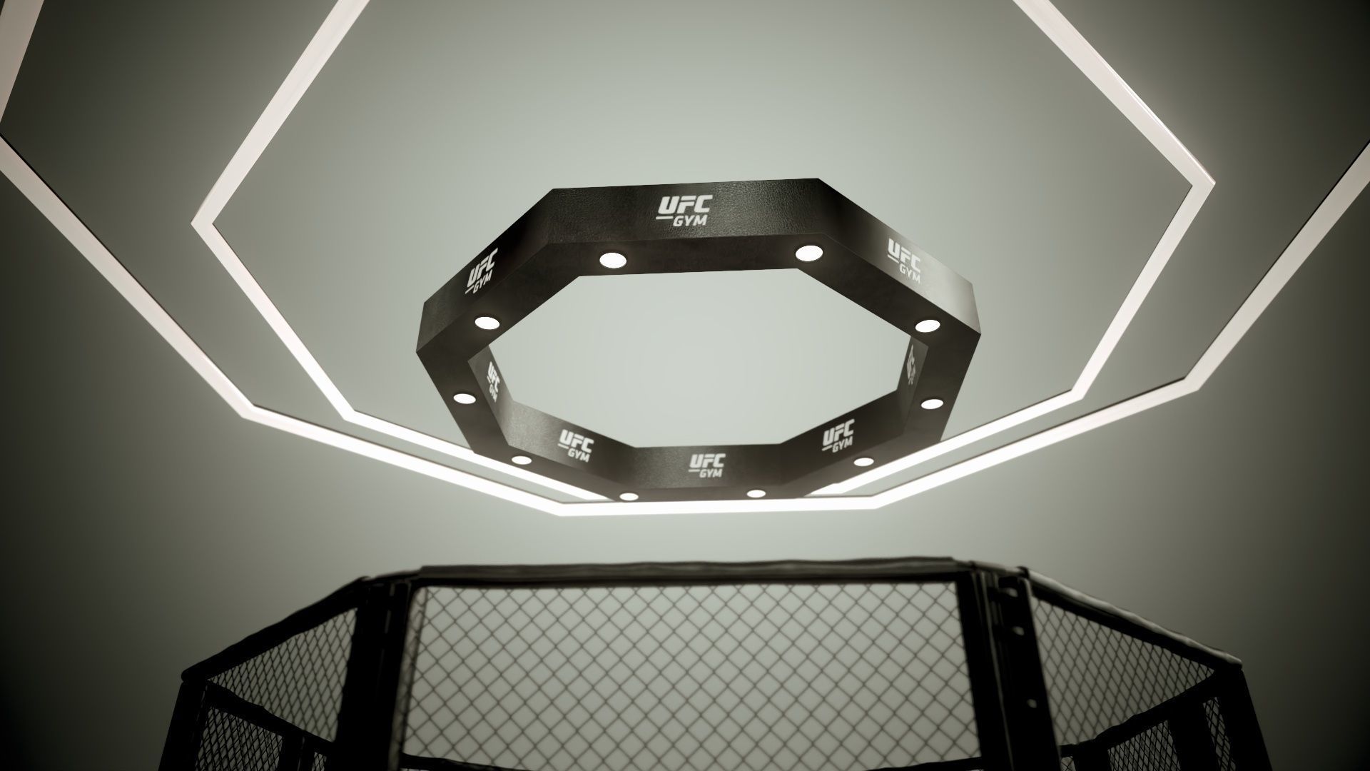 UFC MMA Ring Octogone 3D Model 3D model_3