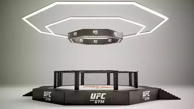 UFC MMA Ring Octogone 3D Model