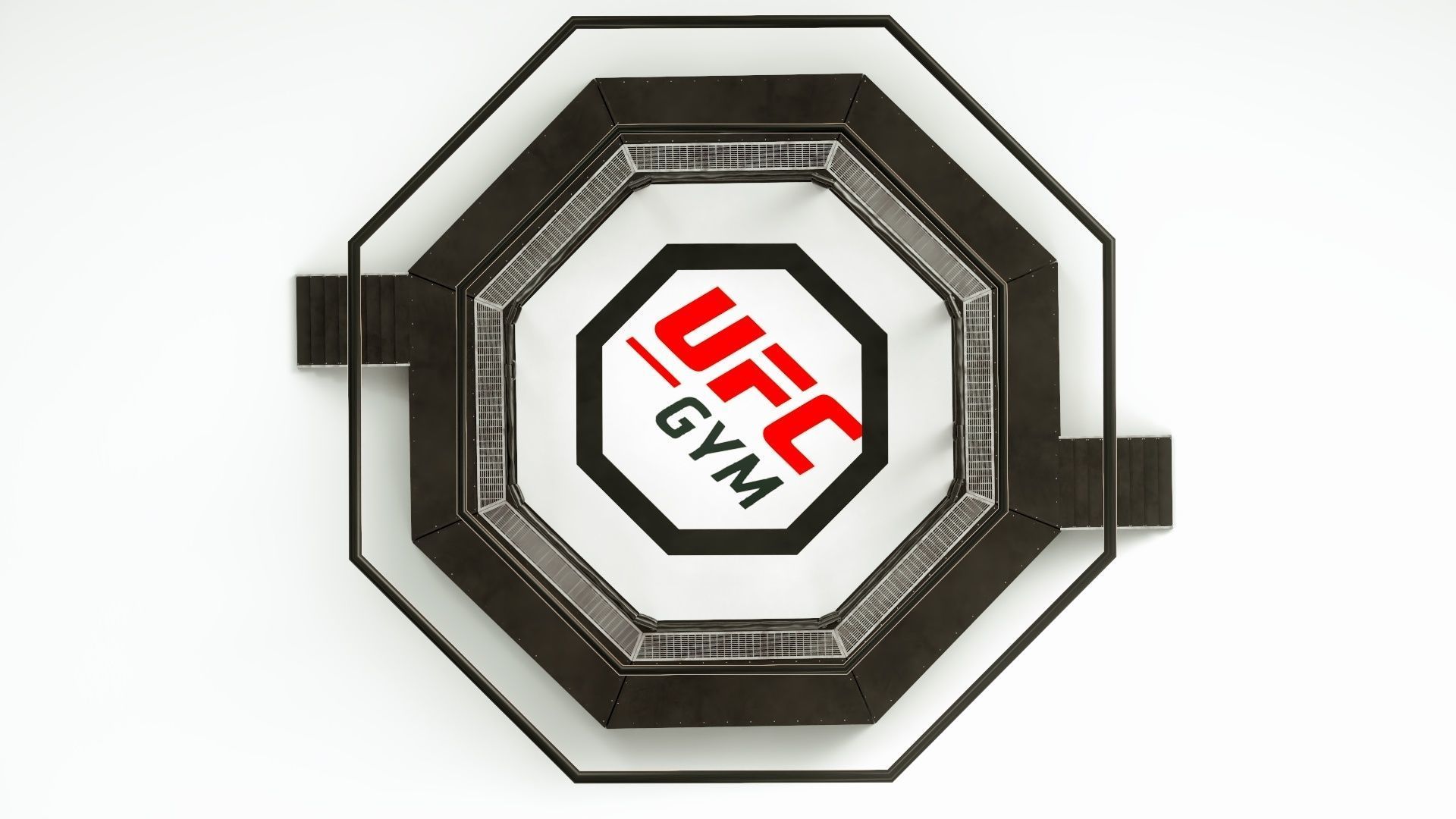 UFC MMA Ring Octogone 3D Model 3D model_1
