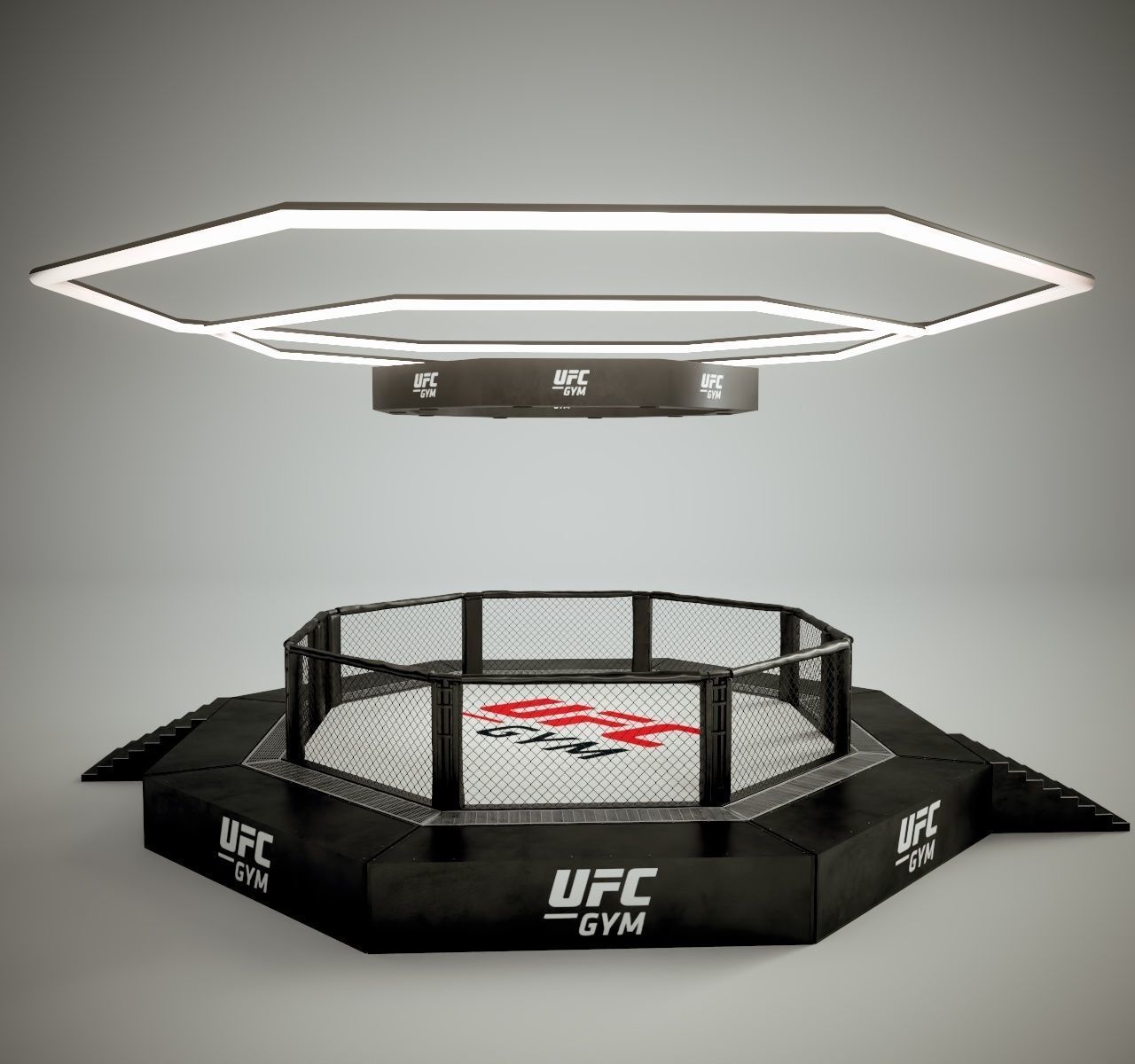 UFC MMA Ring Octogone 3D Model 3D model_6