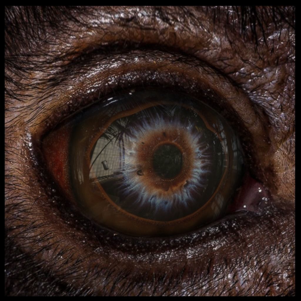Beast Fantasy Eyes Vol 02 - PBR Texture_1