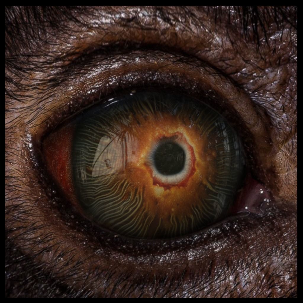 Beast Fantasy Eyes Vol 02 - PBR Texture_2