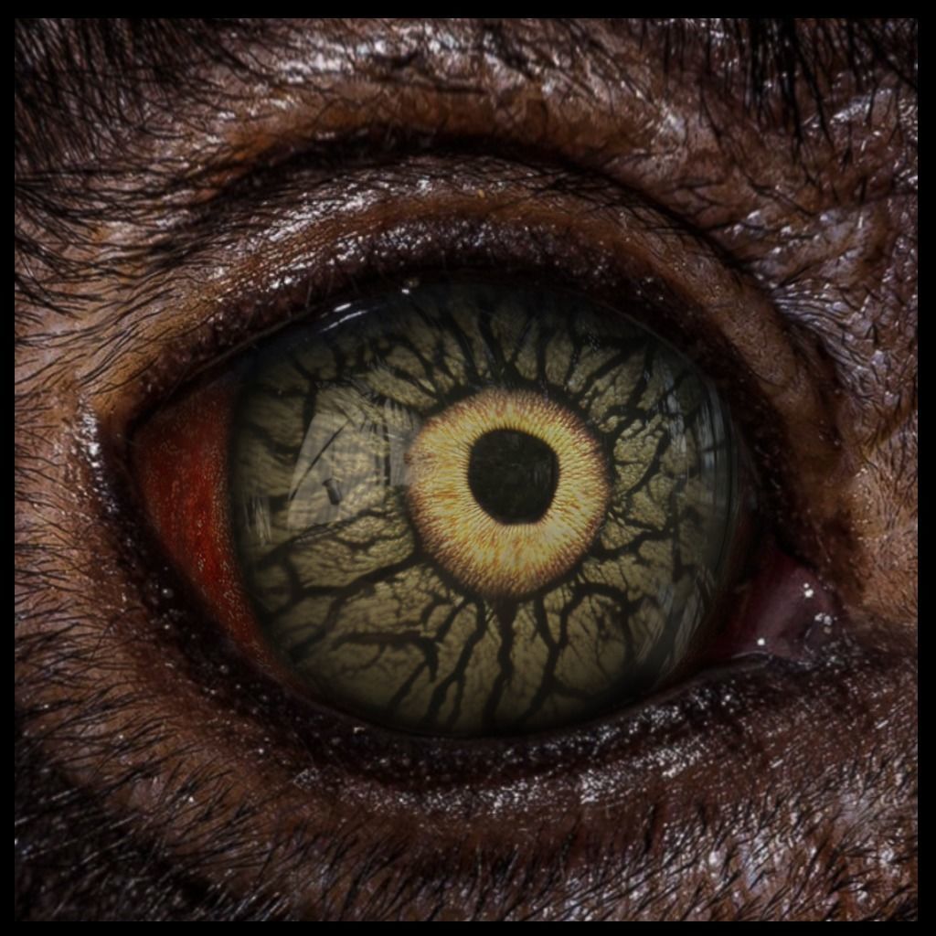 Beast Fantasy Eyes Vol 02 - PBR Texture_13