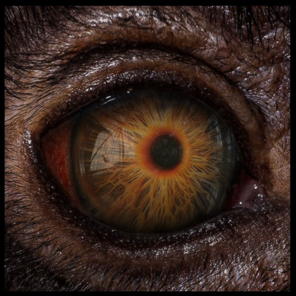 Beast Fantasy Eyes Vol 02 - PBR Texture_8