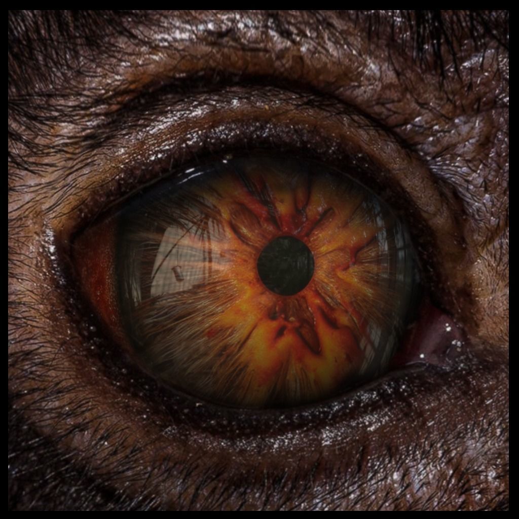 Beast Fantasy Eyes Vol 02 - PBR Texture_14