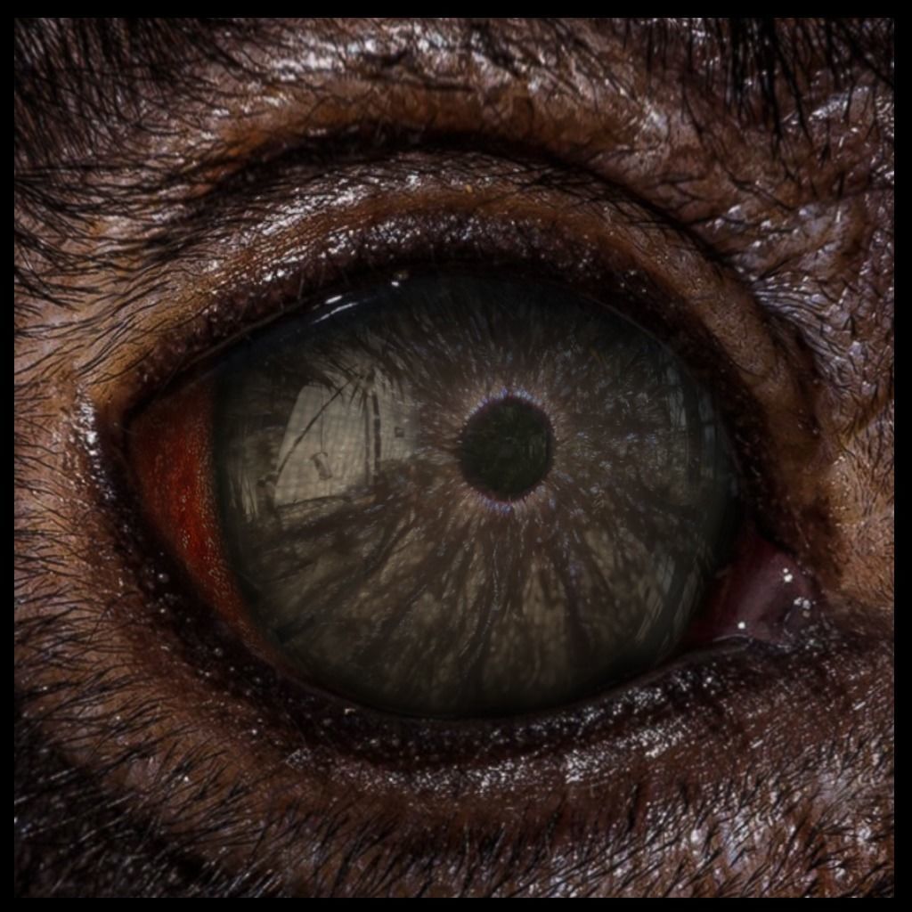 Beast Fantasy Eyes Vol 02 - PBR Texture_12