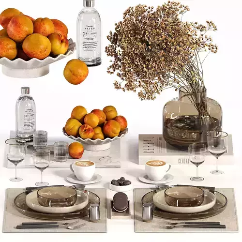 tableware setting 025