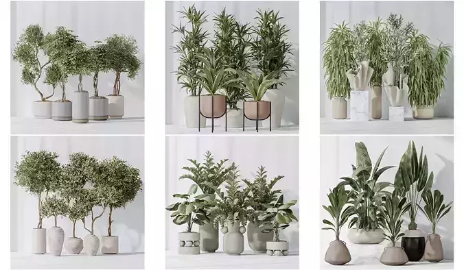 6 Different SETS of Plant Indoor SET VOL127 3D Model Collection