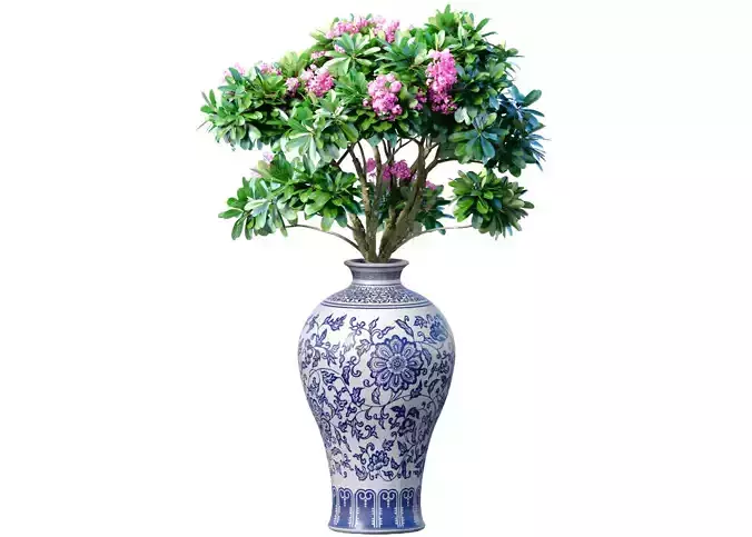 Decorative plant in a vase pot flowerpot Indoor flower