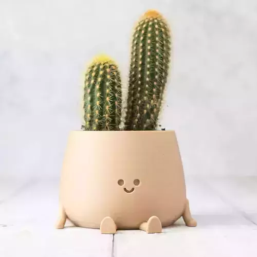 Happy Face Plant Pot