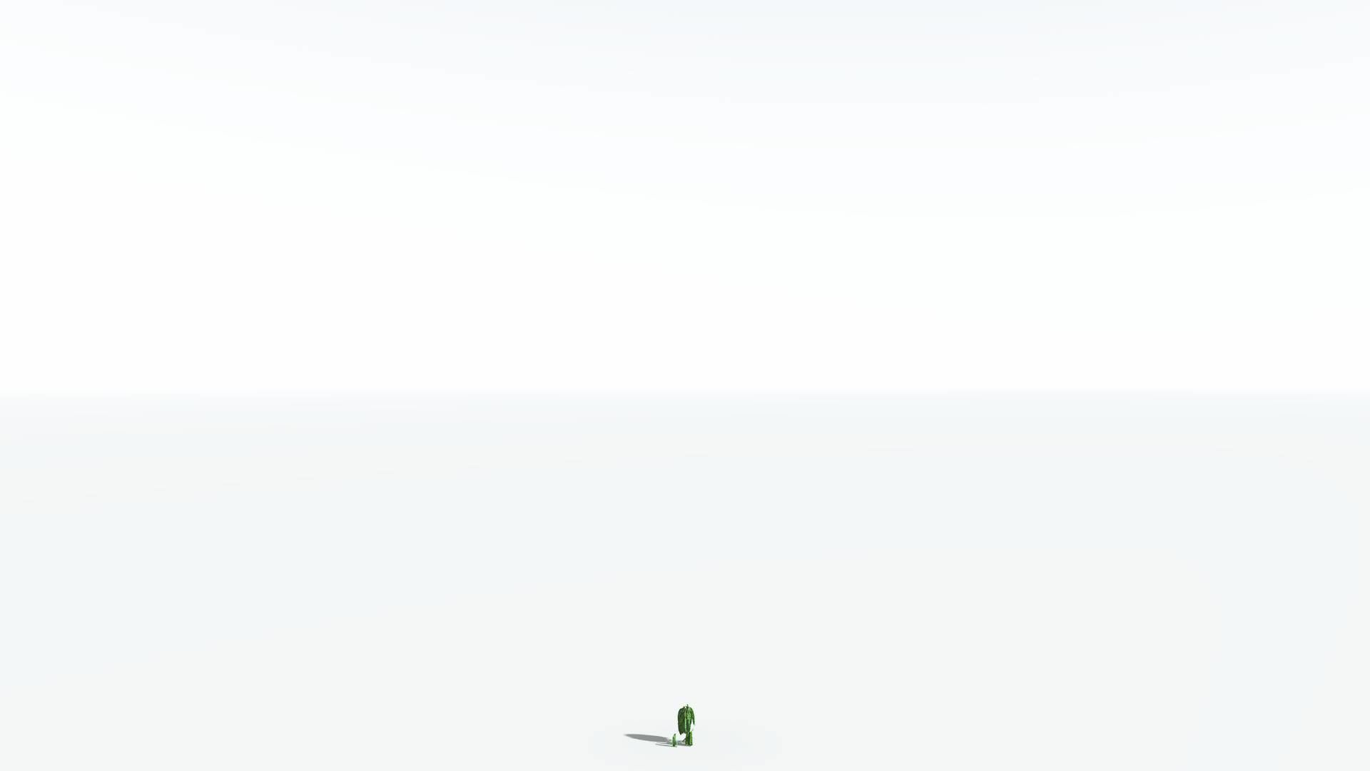 EVERYPlant Weeping Willow 1 --15 Models-- 3D model_27