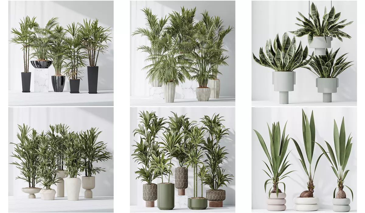 6 Different SETS of Plant Indoor SET VOL128 3D Model Collection_0