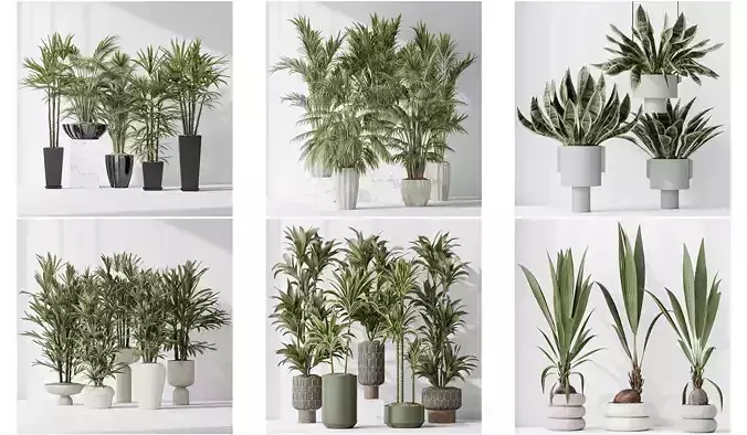 6 Different SETS of Plant Indoor SET VOL128 3D Model Collection