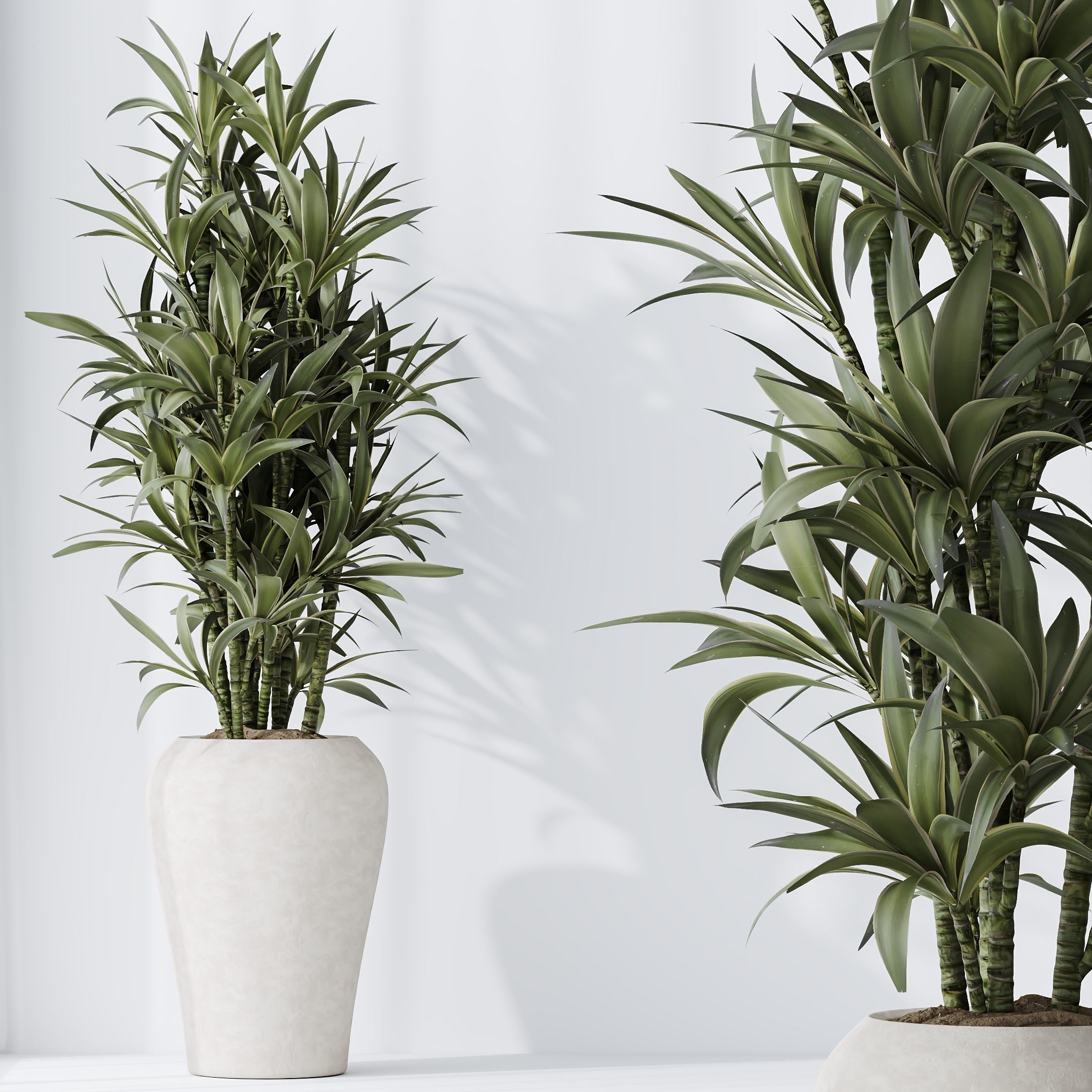 6 Different SETS of Plant Indoor SET VOL128 3D Model Collection_16