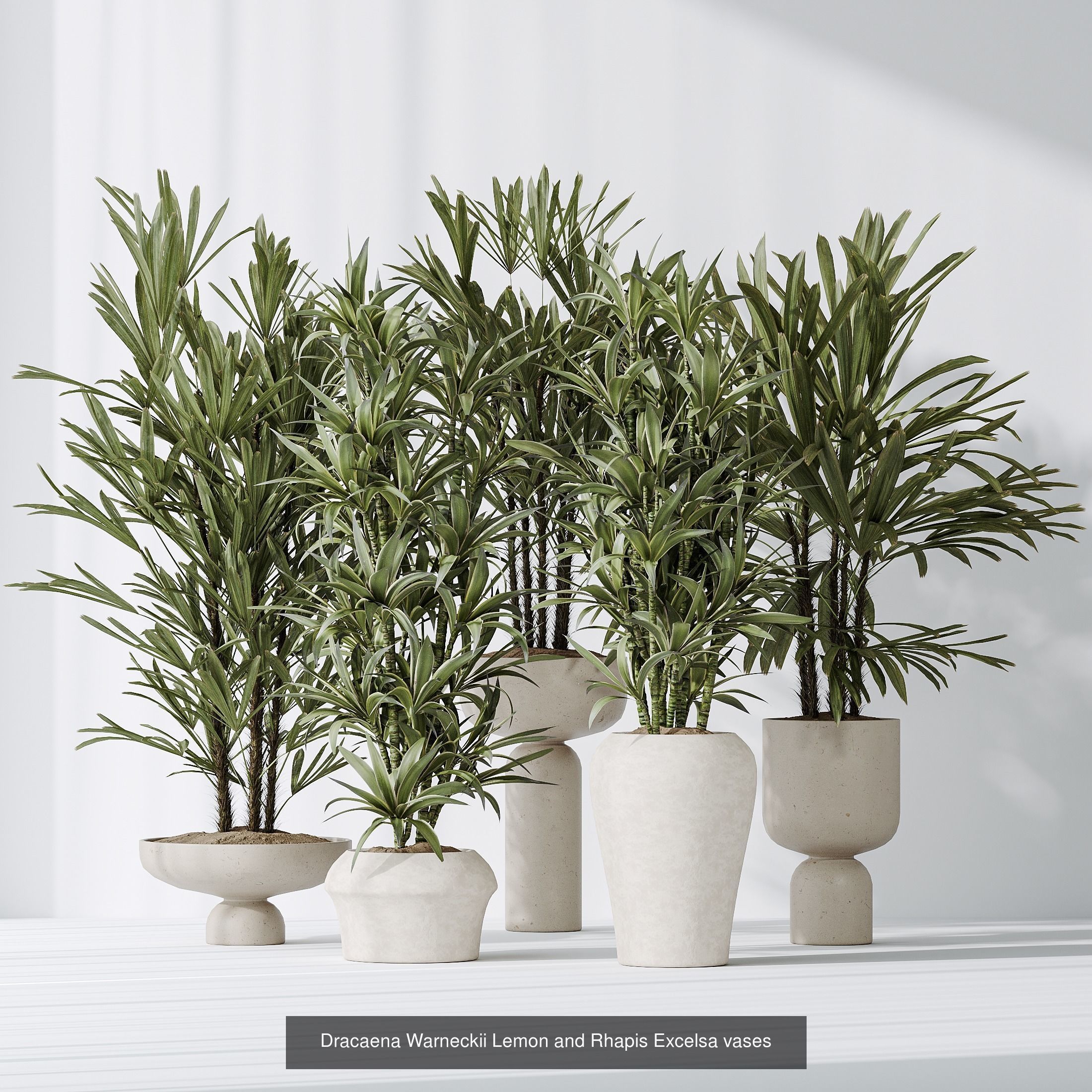 6 Different SETS of Plant Indoor SET VOL128 3D Model Collection_5