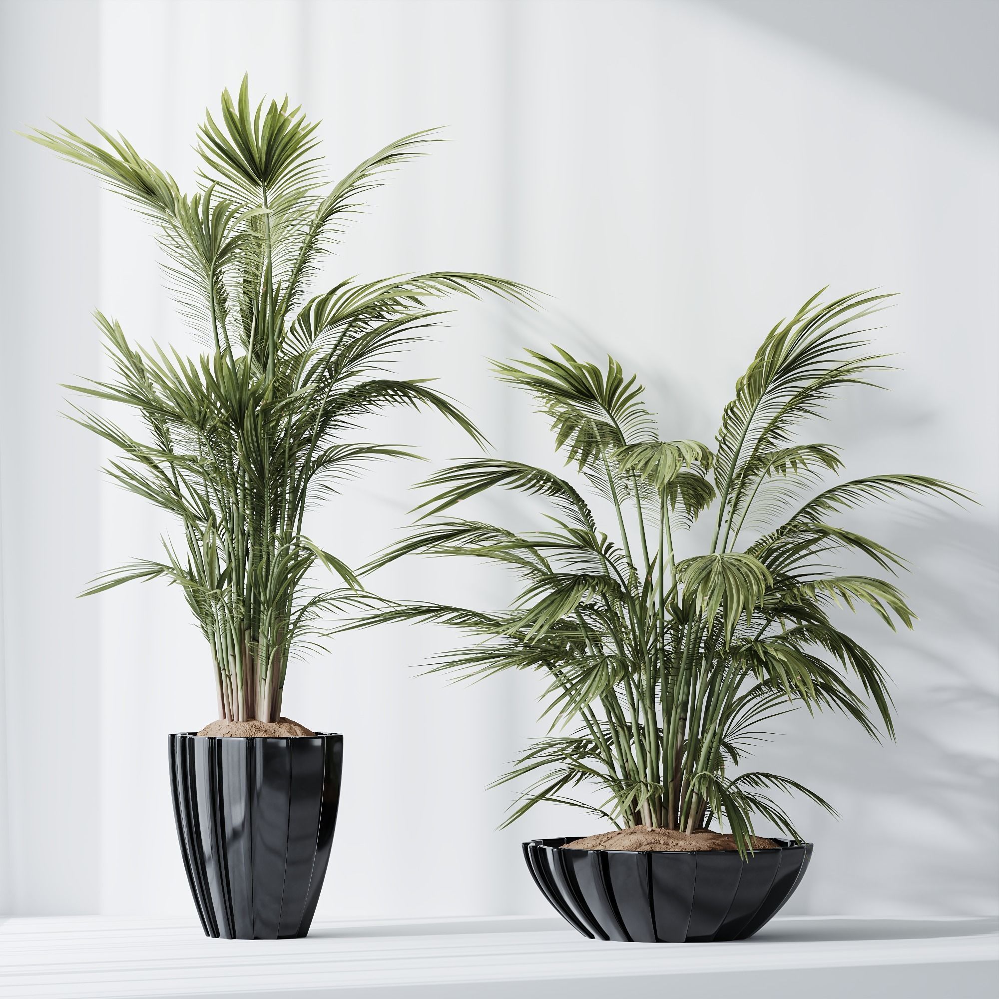 6 Different SETS of Plant Indoor SET VOL128 3D Model Collection_12