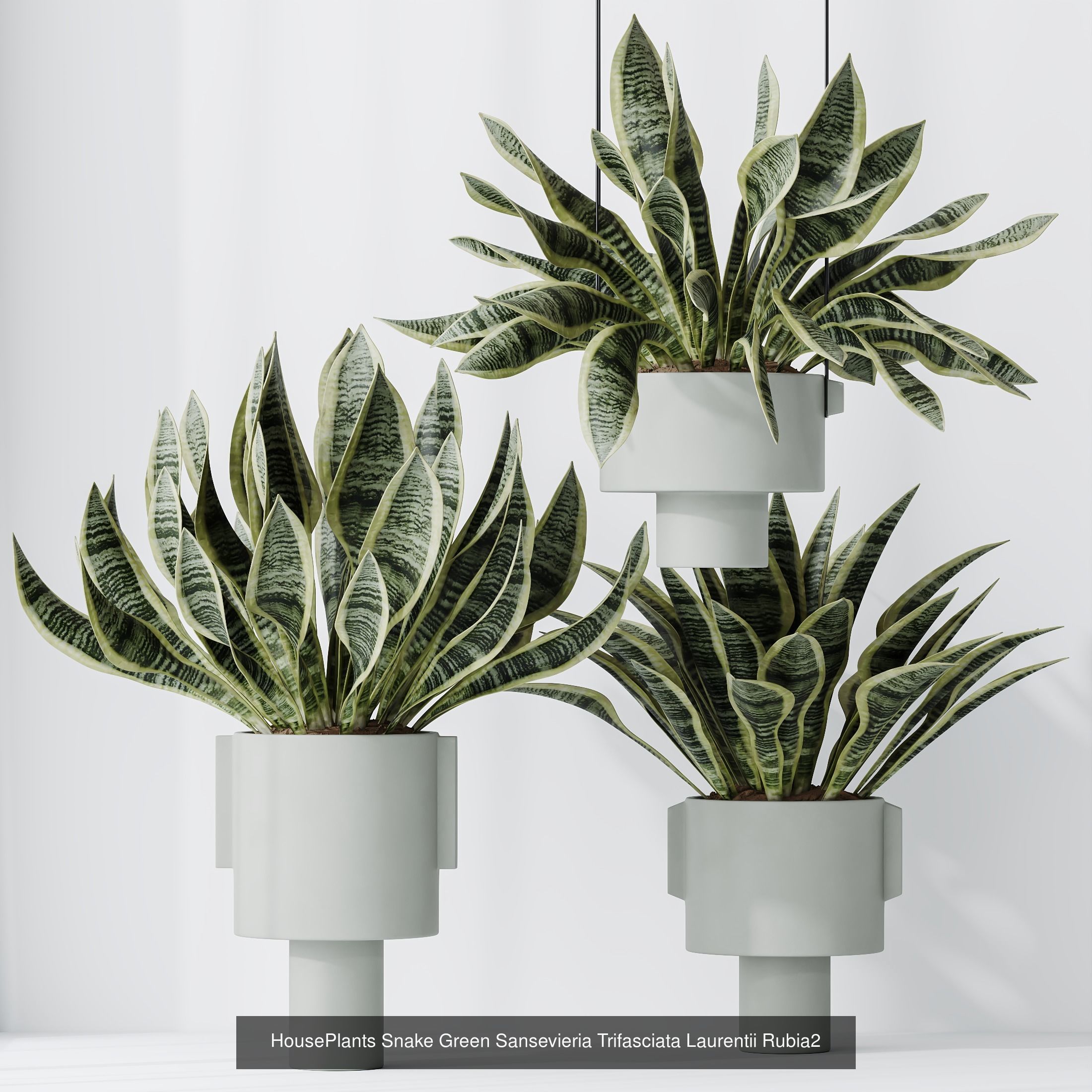 6 Different SETS of Plant Indoor SET VOL128 3D Model Collection_1