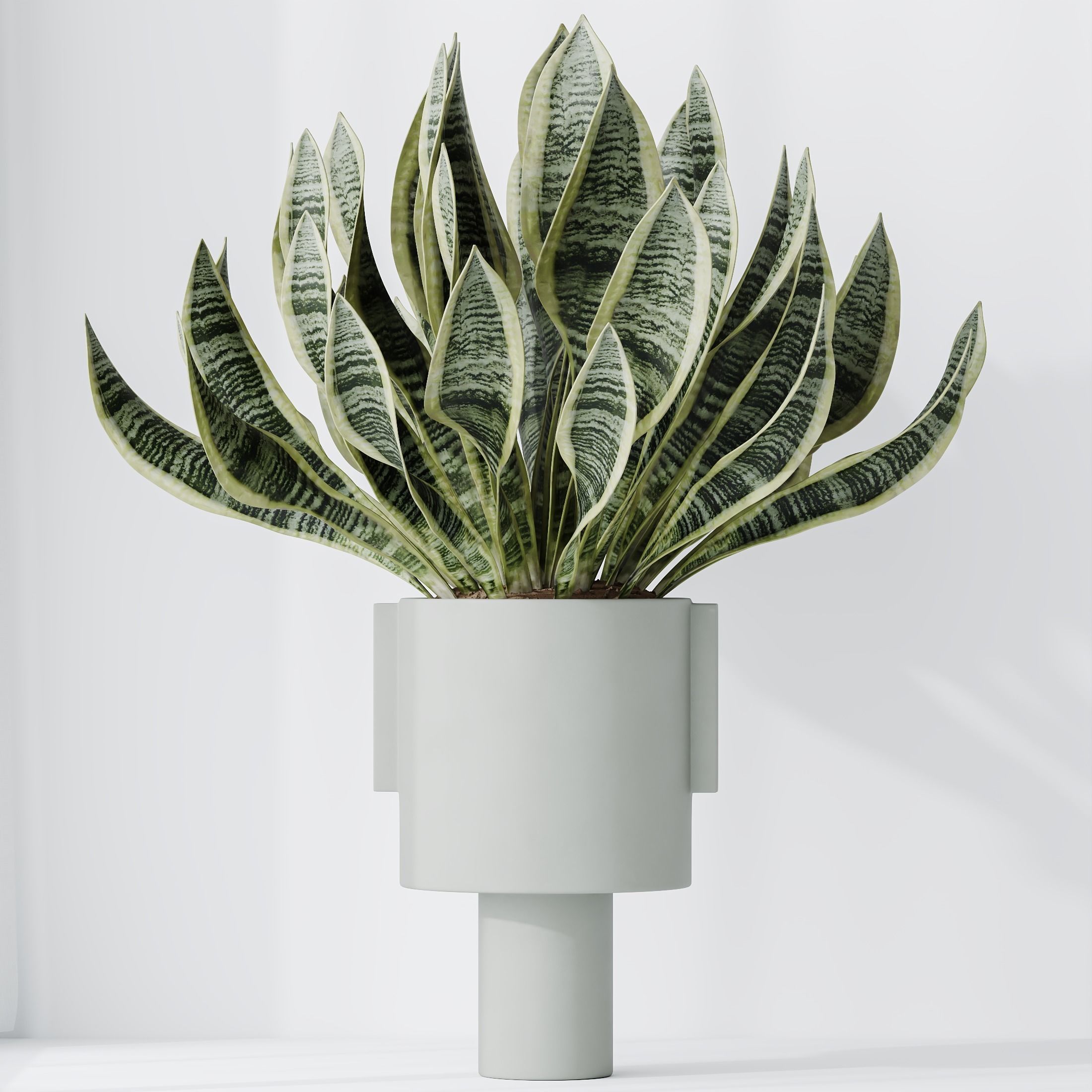 6 Different SETS of Plant Indoor SET VOL128 3D Model Collection_8