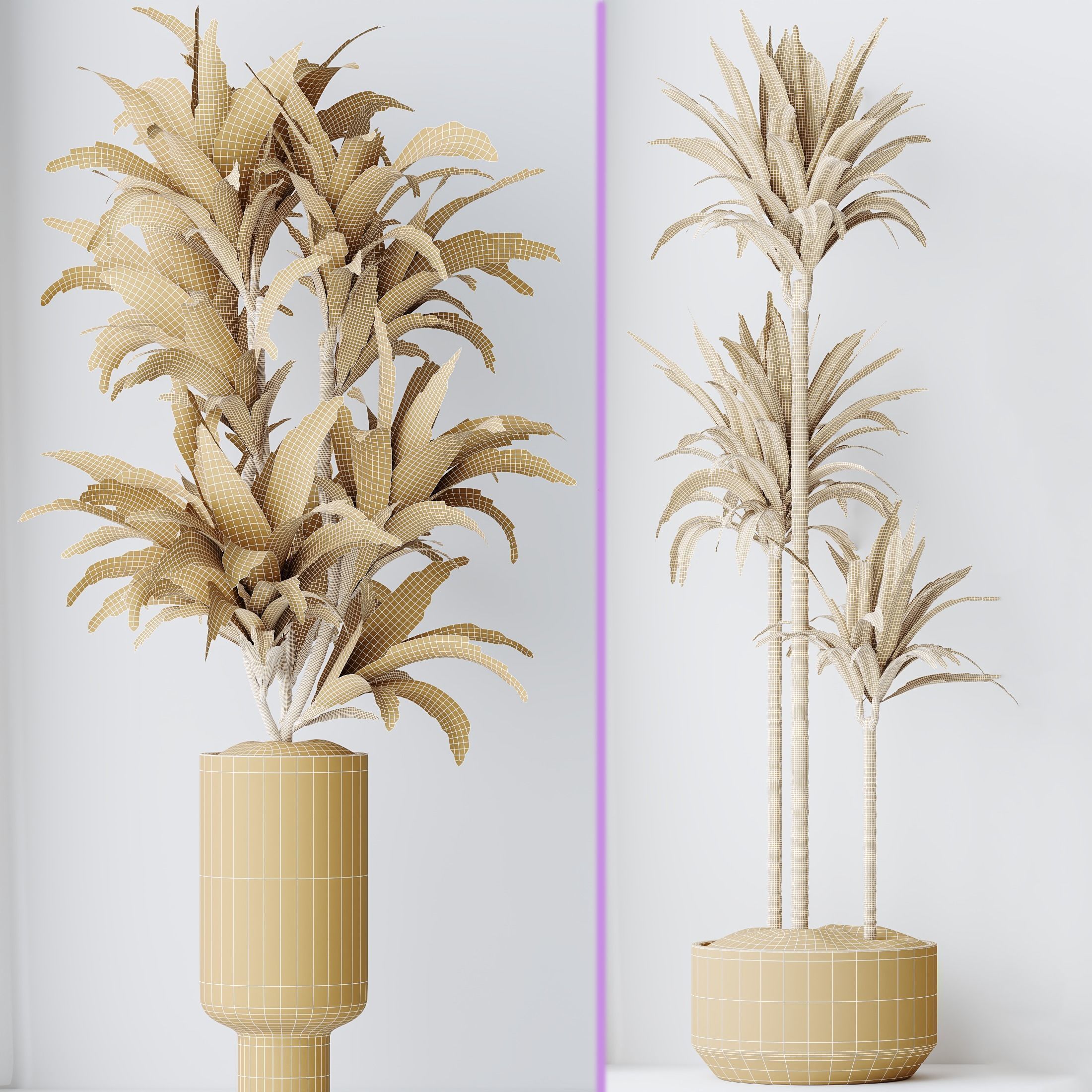6 Different SETS of Plant Indoor SET VOL128 3D Model Collection_23