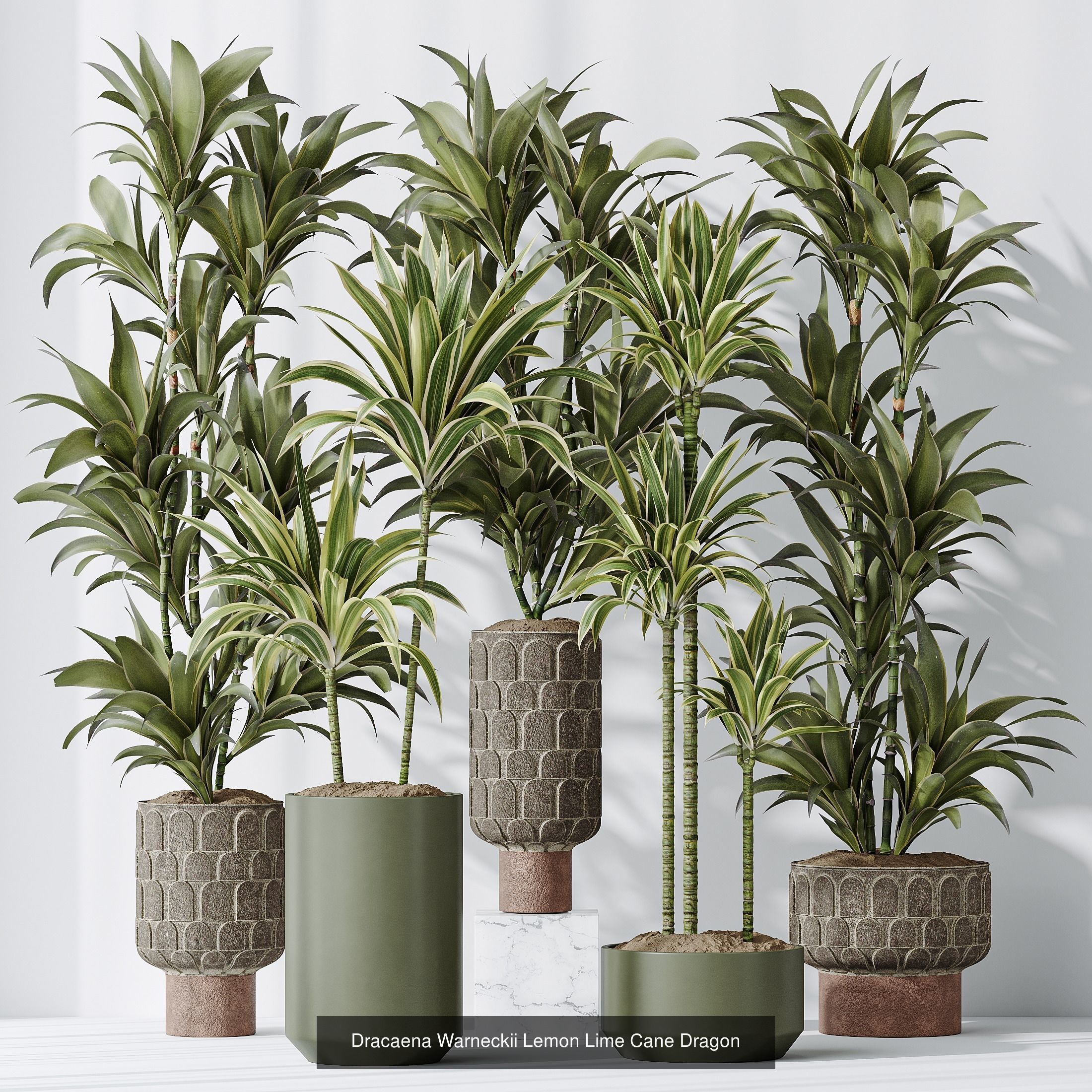 6 Different SETS of Plant Indoor SET VOL128 3D Model Collection_6