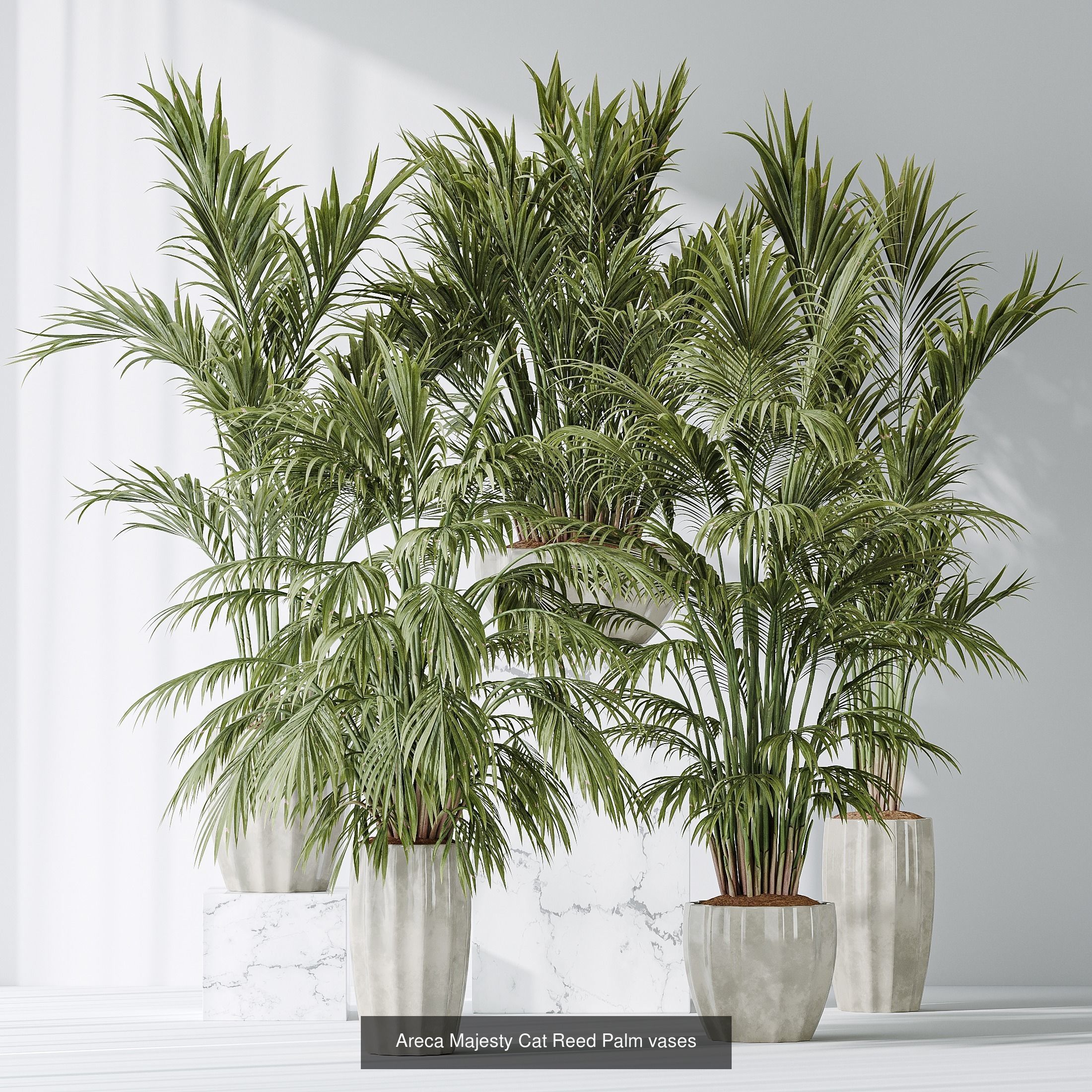 6 Different SETS of Plant Indoor SET VOL128 3D Model Collection_4