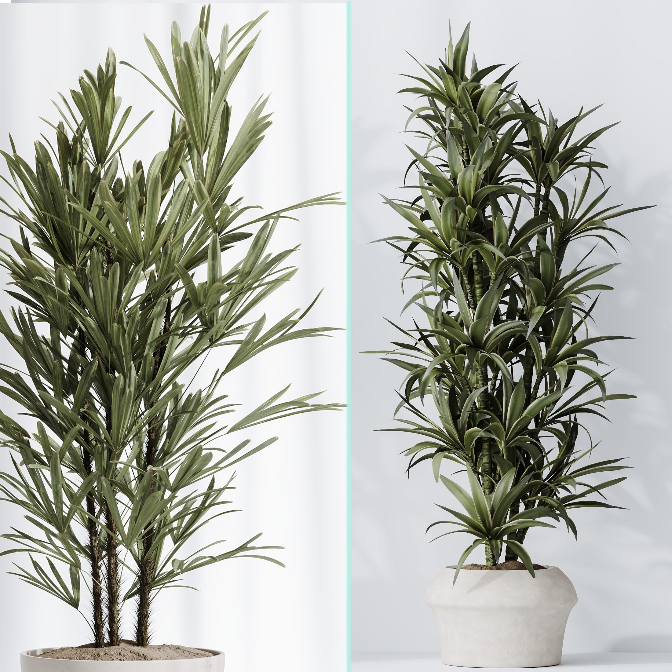 6 Different SETS of Plant Indoor SET VOL128 3D Model Collection_18