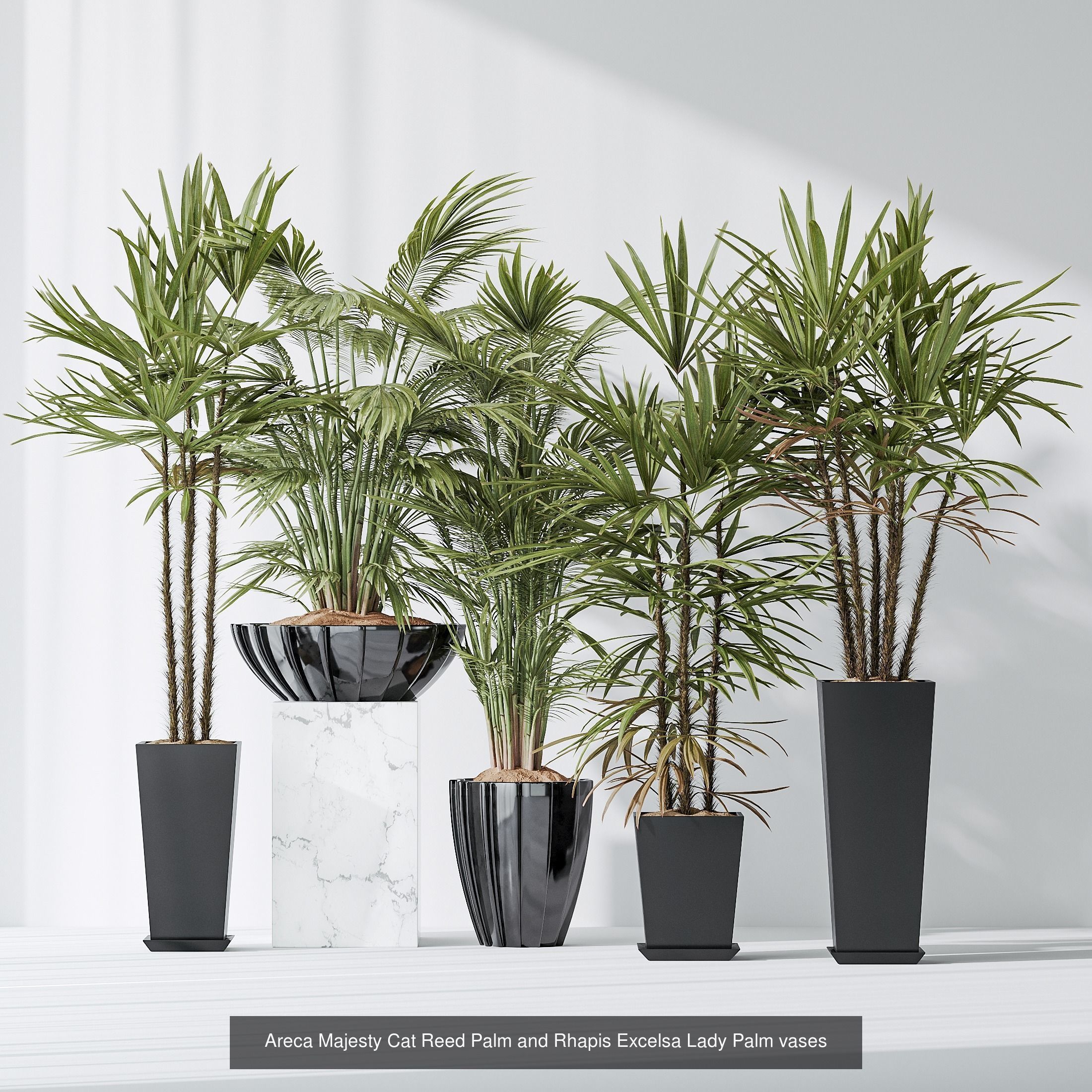 6 Different SETS of Plant Indoor SET VOL128 3D Model Collection_3
