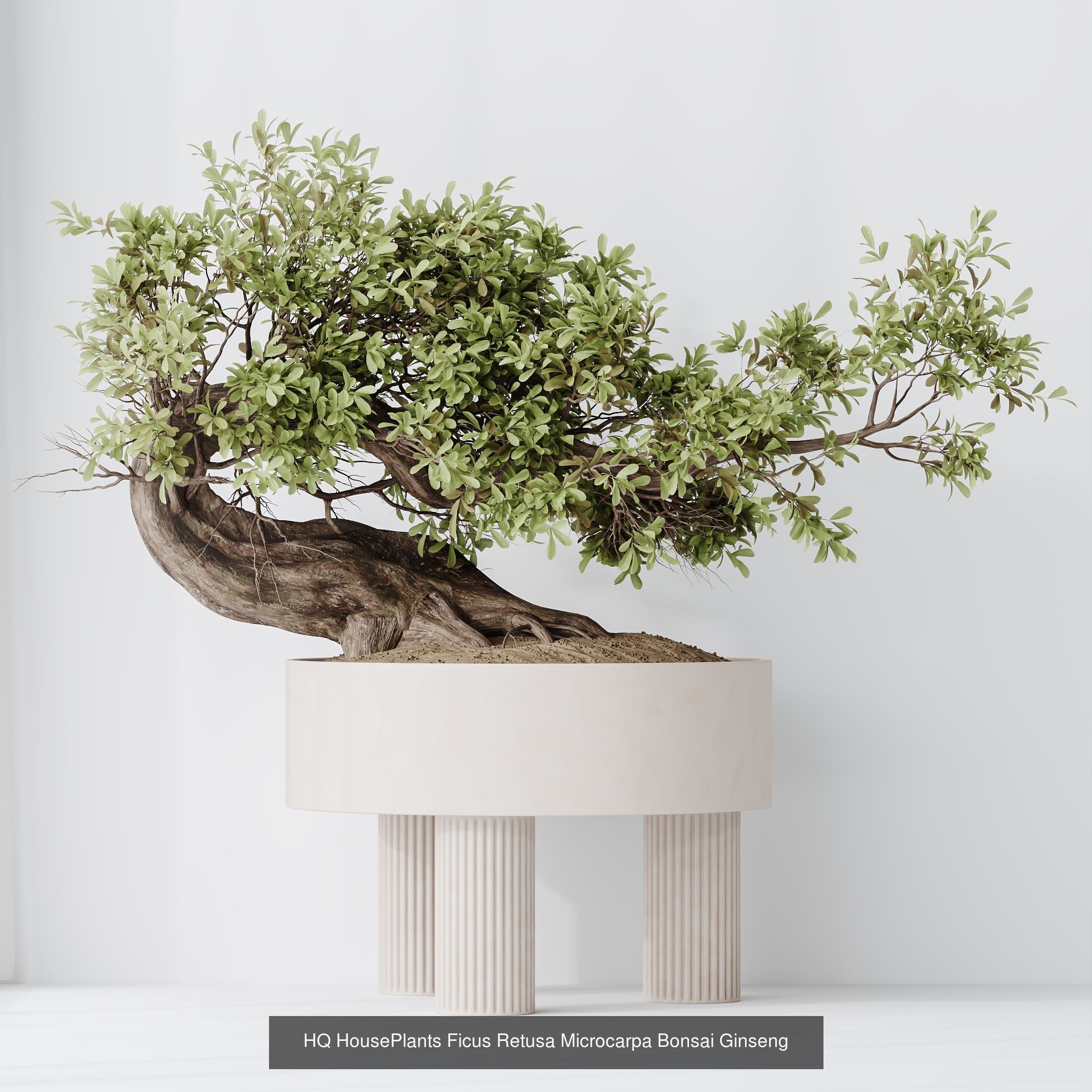 6 Different SETS of Plant Indoor SET VOL129 3D Model Collection_5