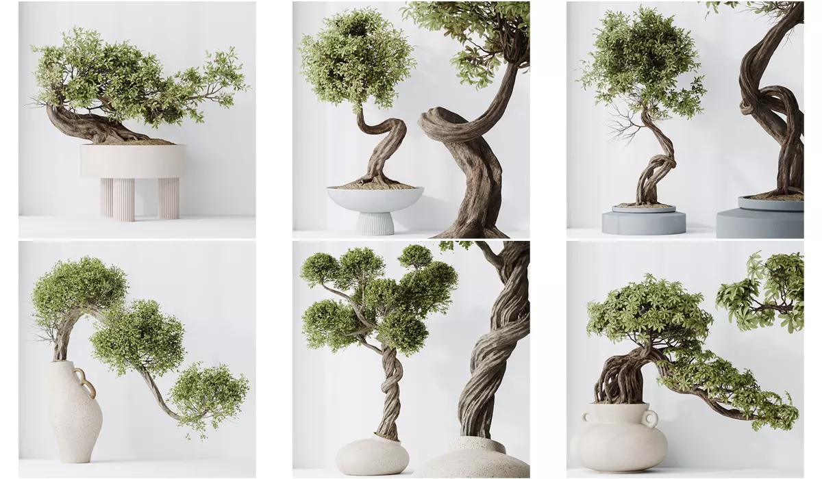 6 Different SETS of Plant Indoor SET VOL129 3D Model Collection_0