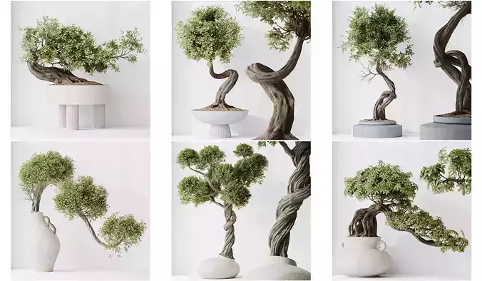 6 Different SETS of Plant Indoor SET VOL129 3D Model Collection