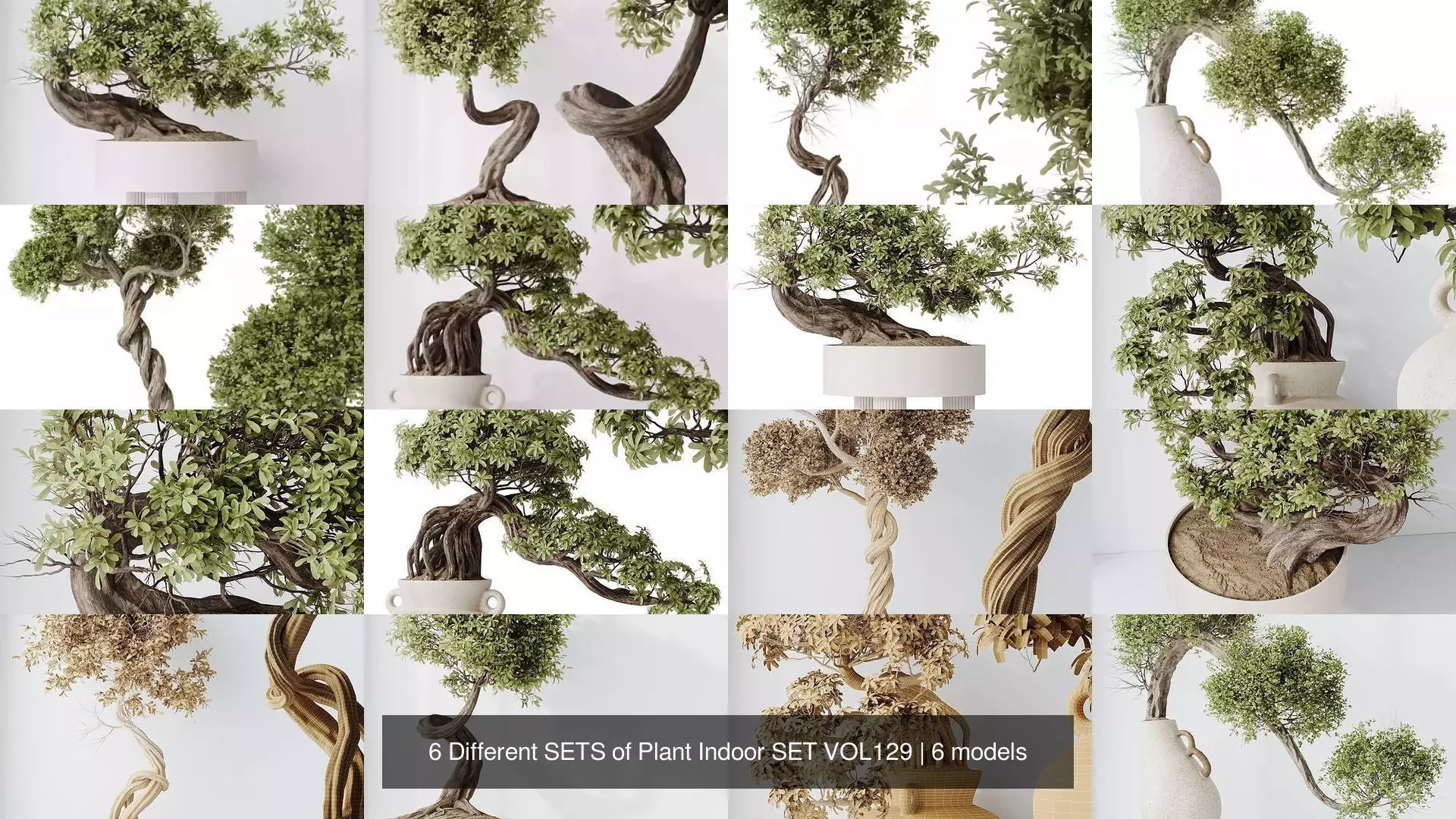 6 Different SETS of Plant Indoor SET VOL129 3D Model Collection_1