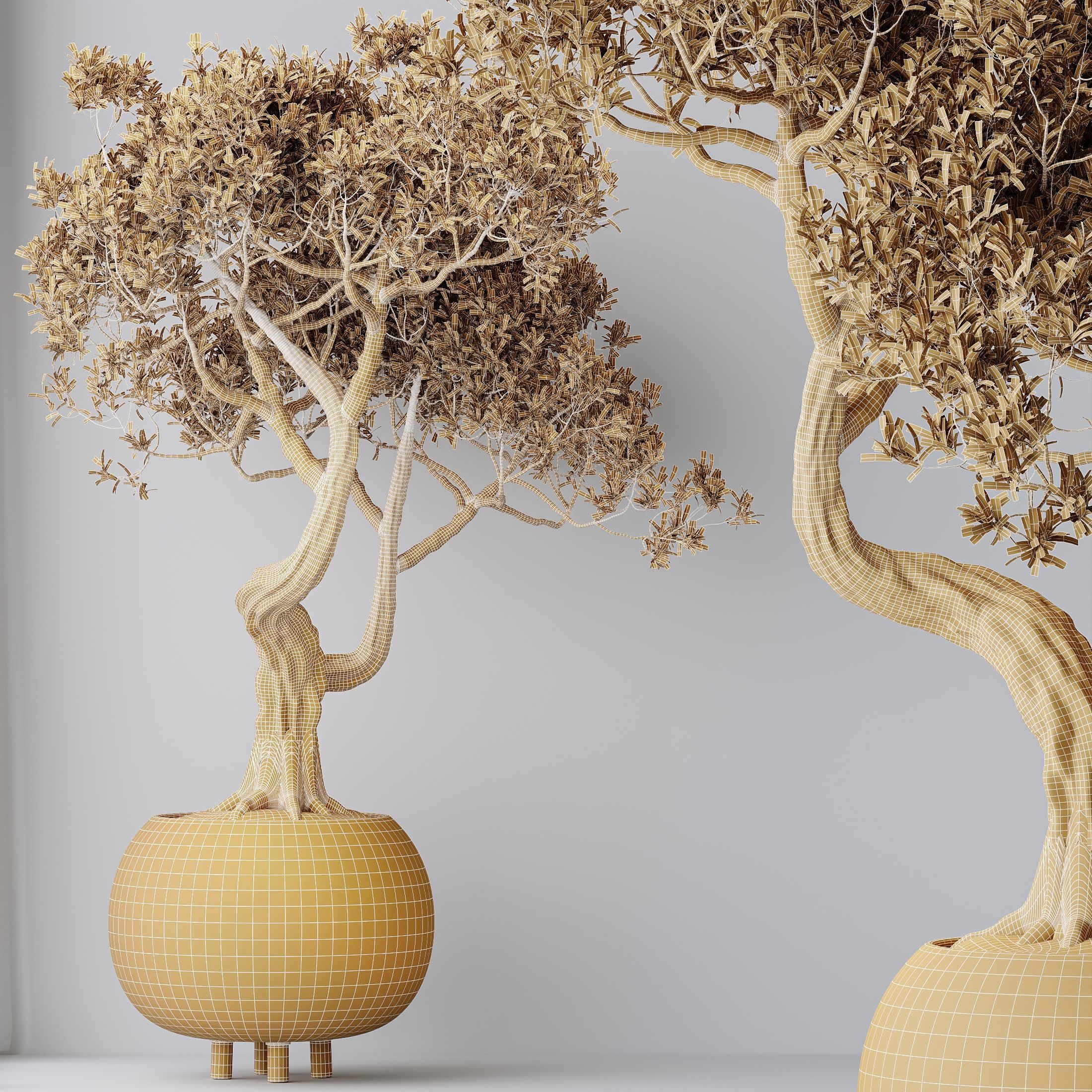 6 Different SETS of Plant Indoor SET VOL130 3D Model Collection_21