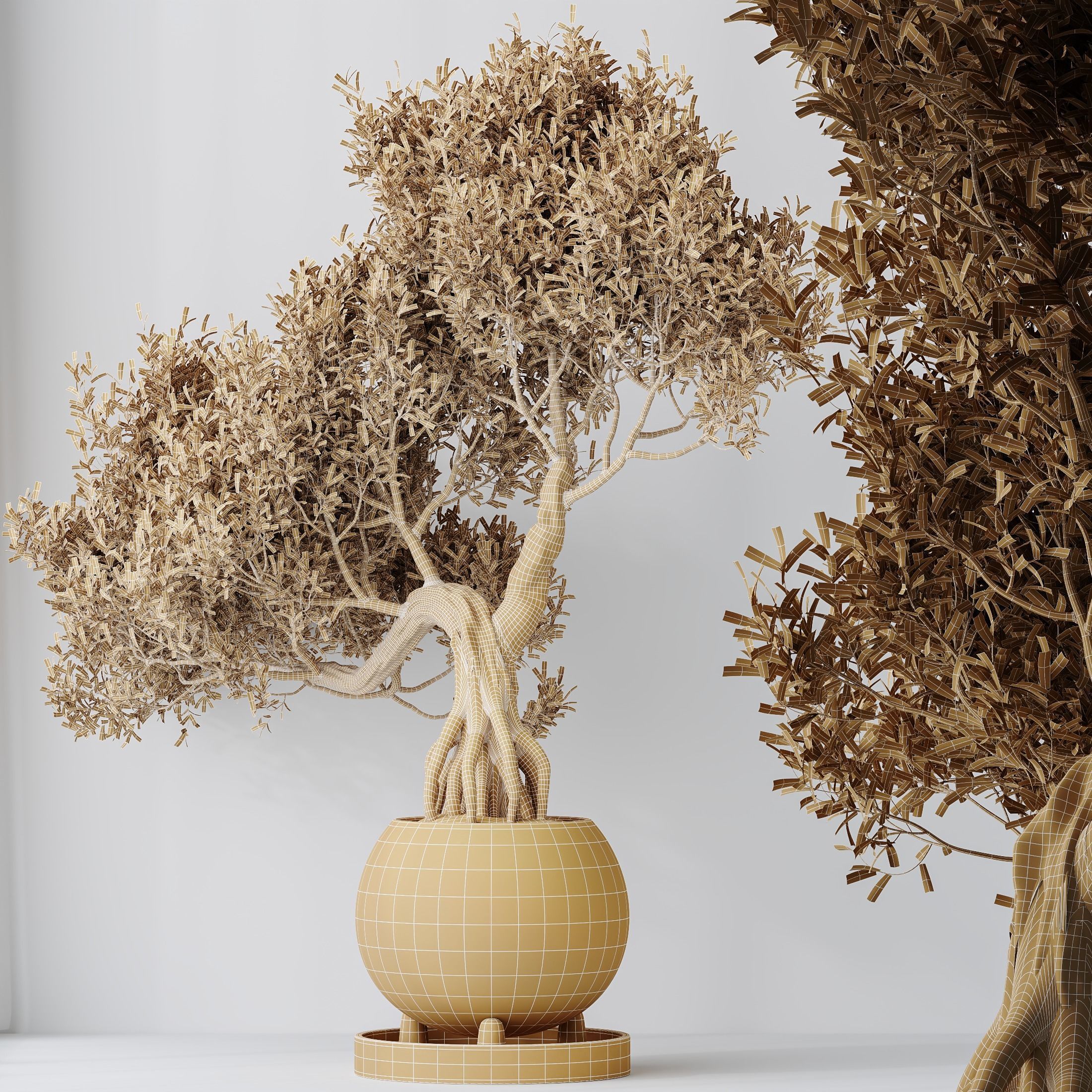 6 Different SETS of Plant Indoor SET VOL130 3D Model Collection_18